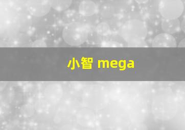 小智 mega